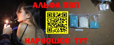 СК Новодвинск