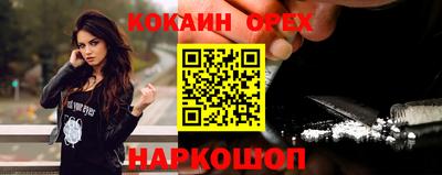СК Новодвинск