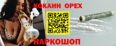 СК Новодвинск