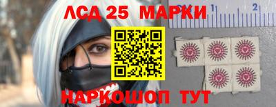 СК Новодвинск