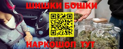 СК Новодвинск