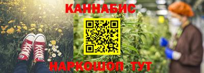 СК Новодвинск
