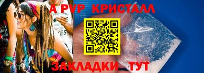 СК Новодвинск