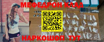 СК Новодвинск