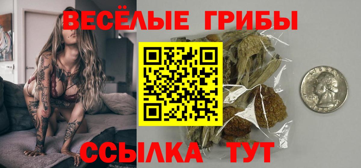 Симферополь  Псилоцибиновые грибы MAGIC MUSHROOMS  Псилоцибиновые грибы ЛСД  Вход с VPN 
